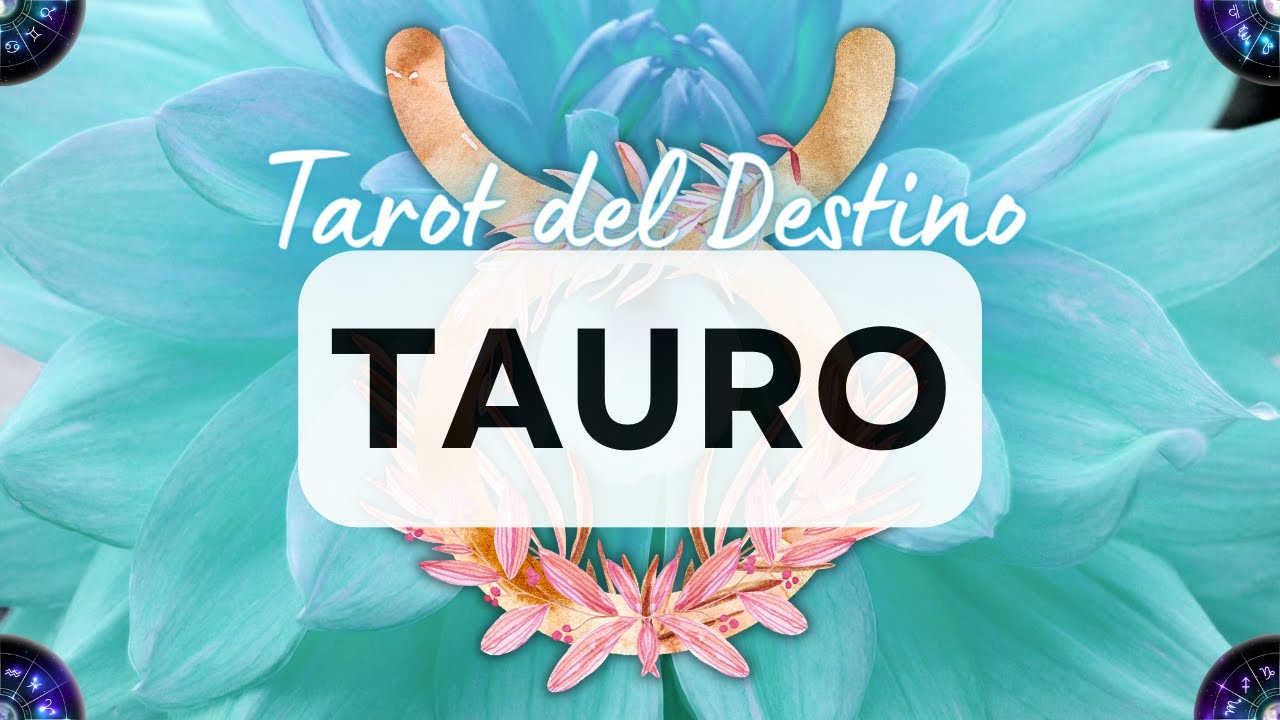 🌺 TAURO ♉️ ALGUIEN A QUIEN AMAS 🥰💕 VOLVERÁ A TU LADO 🤗 PERO ANTES DEBES ...