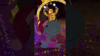 Christmas Joy 297 : Eye candy.