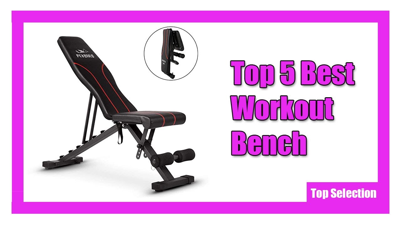 Top 5 Best Workout Bench Fun Workouts Workout Weight Benches Top 5 Best Workout Bench Fun Workouts Workout Weight Benches