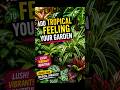 How to Create a Tropical Garden with Spider Plant 🌿 #spiderplant