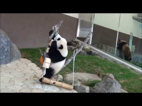 201310優浜木に登る
