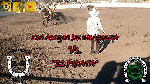 LOS AMIGOS DE CHAGOLLA Vs. "EL PIRATA" STOCKTON CA...