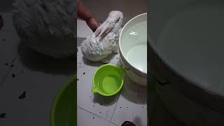 I Dont Sweat, I Sparkle Because Chasing My Tail Is A Full-Time Job.