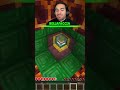 ILLUSIONE OTTICA SU MINECRAFT