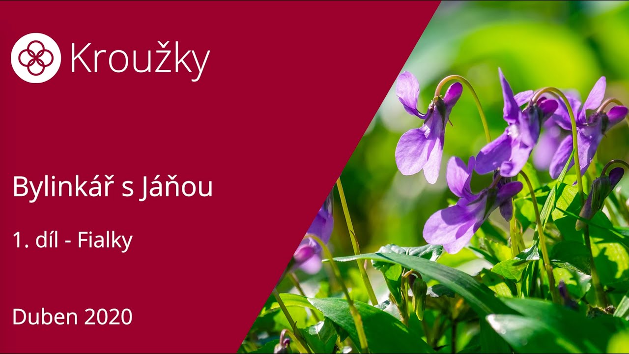 Fialky - Bylinkář s Jáňou (1. díl)