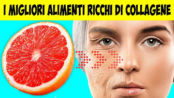 Quali alimenti contengono elastina?