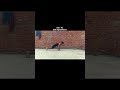 Day-62 Self improvement🥊#martialartstraining#selfdifence#fullpunch#shotrs#video#boxing