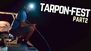 Download Lagu Tampa Bay Tarpon Fishing In Early Summer MP3
