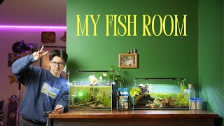 All of the fish tanks in my living room! by World of Whasian 2,600 views 11 months ago 4 minutes, 11 seconds