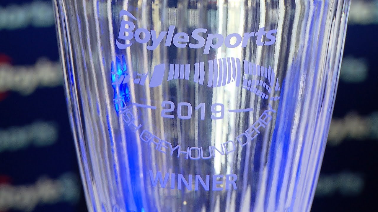 2019 BoyleSports Irish Greyhound Derby 1st Round Draw highlights