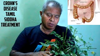 Crohn's Disease Natural Siddha Cure in Tamil screenshot 1