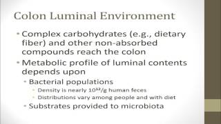 “Interplay between diet and colon microbiota: Impacts on colon health