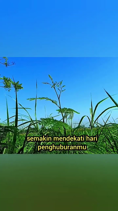 Keberkatan #afirmasi #katamutiara #quotes  #renungan #motivasi #petuah #nasehat #katabijak