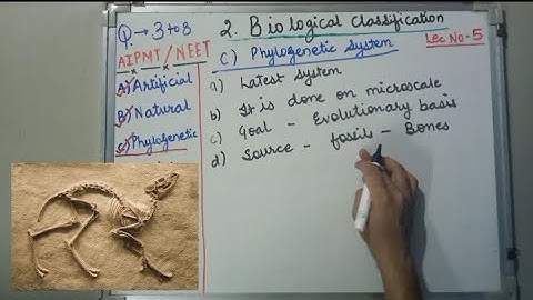 BIOLOGY - NEET - BIOLOGICAL CLASSIFICATION - INTRODUCTION TO  PHYLOGENETIC SYSTEM OF CLASSIFICATION