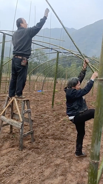 Amazing Building a Bamboo Greenhouse #satisfying @HappyFarm85