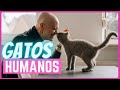 5 cosas sorprendentes que tu y tu gato tienen en común