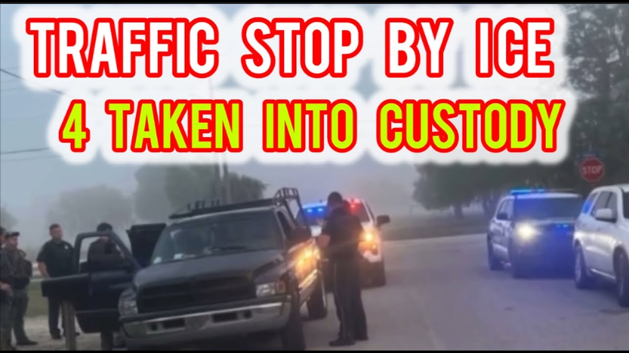 Traffic Stop By Ice and 4 People Taken Into Custody in LaBelle - YouTube