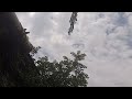F-5 da Base aérea de Santa Cruz voando no meu quintal