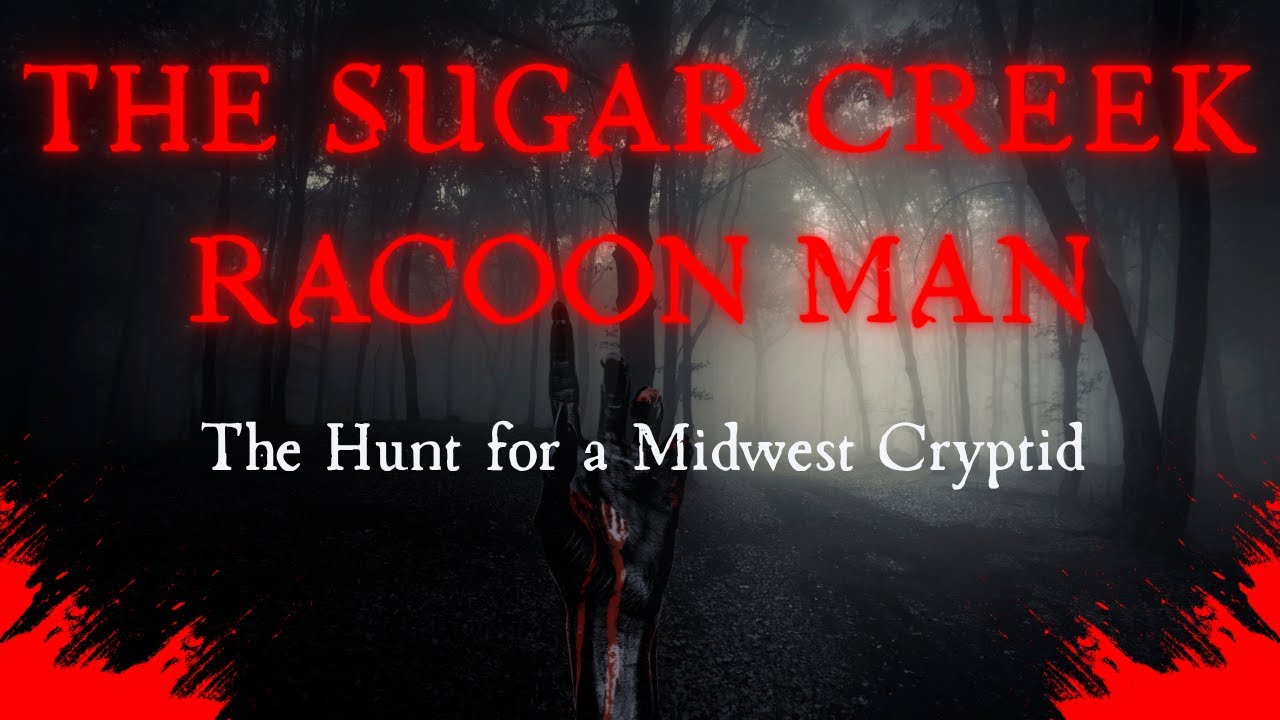 [Cryptid Hunt] The Raccoon Man of Sugar Creek is Revealed - YouTube