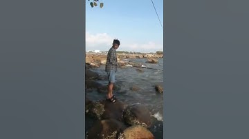 Câu cá biển - cá nâu (p83) #shorts #cauca