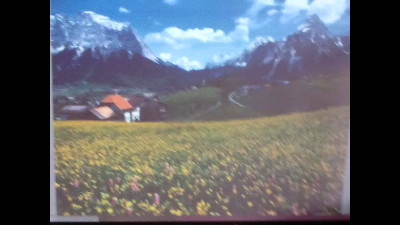 Community Reflection