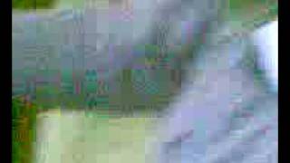 IMG000