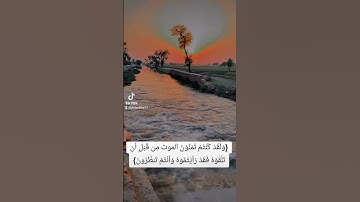 تلاوه نادره للشيخ محمد الليثي