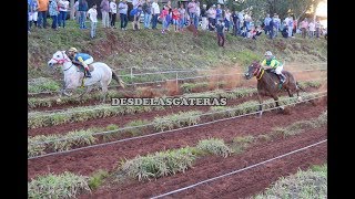 PITUCO Don Alvaro, Itacaruaré, Mnes. 15.07.18-