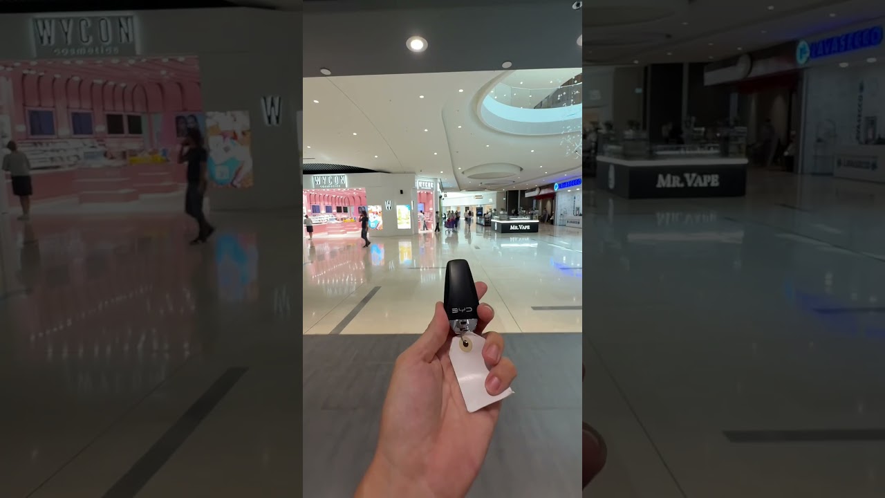 Al Centro commerciale Gran Reno ho fatto Shopping di BYD!!! Thanks to Grand Prix per il Test Drive!