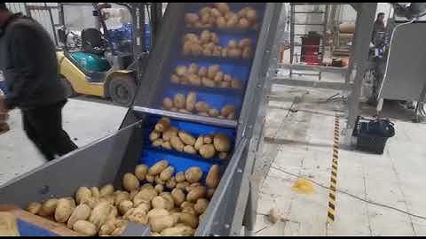 Sorma Klips SX Multihead weigher 01