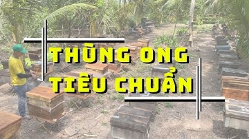 TIÊU CHUẨN CẦN BIẾT về thùng ong tầng kế