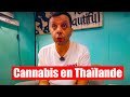 Crer un business de cannabis en thalande 