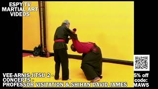 VEE-ARNIS-JITSU 2 - CONCEPTS - PROFESSOR VISITATION & SHIHAN DAVID JAMES