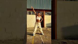 Slizer- Zimbabwe (Dance Clip by KUSHY)