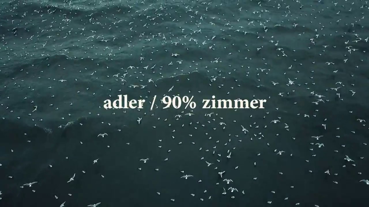 adler / 90% zimmer