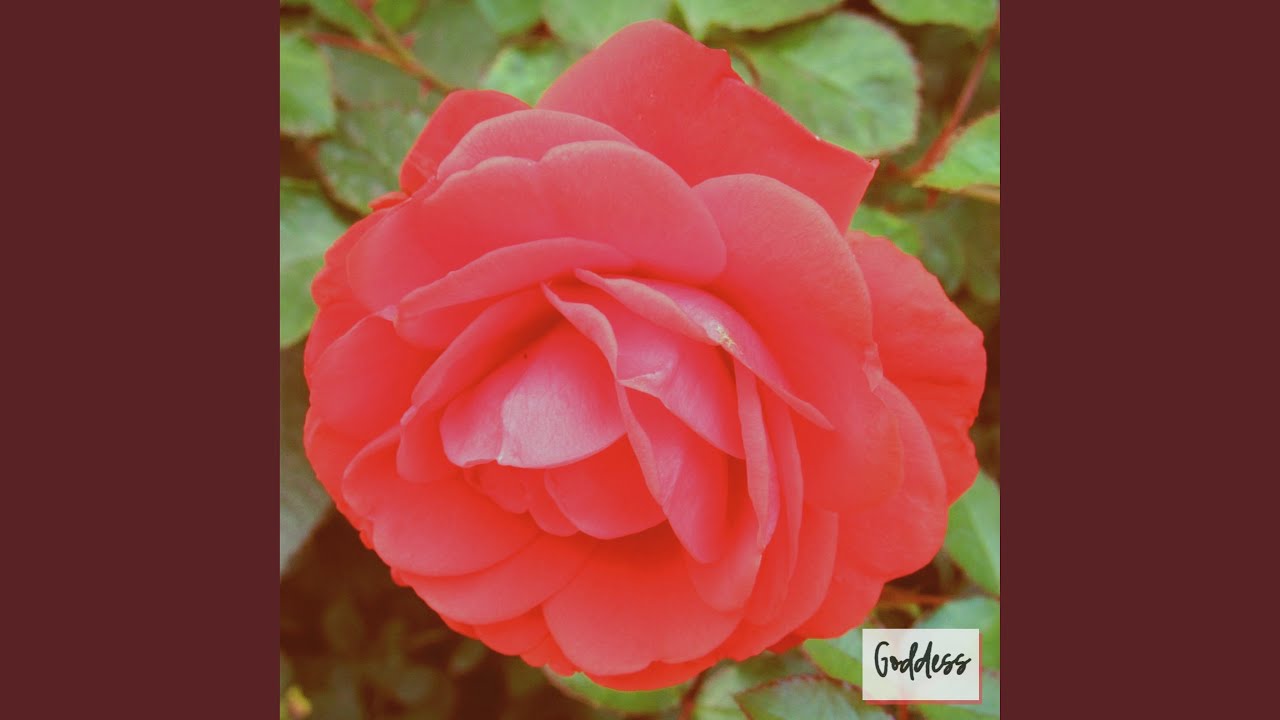 Guarda Goddess su YouTube Guarda Goddess su YouTube