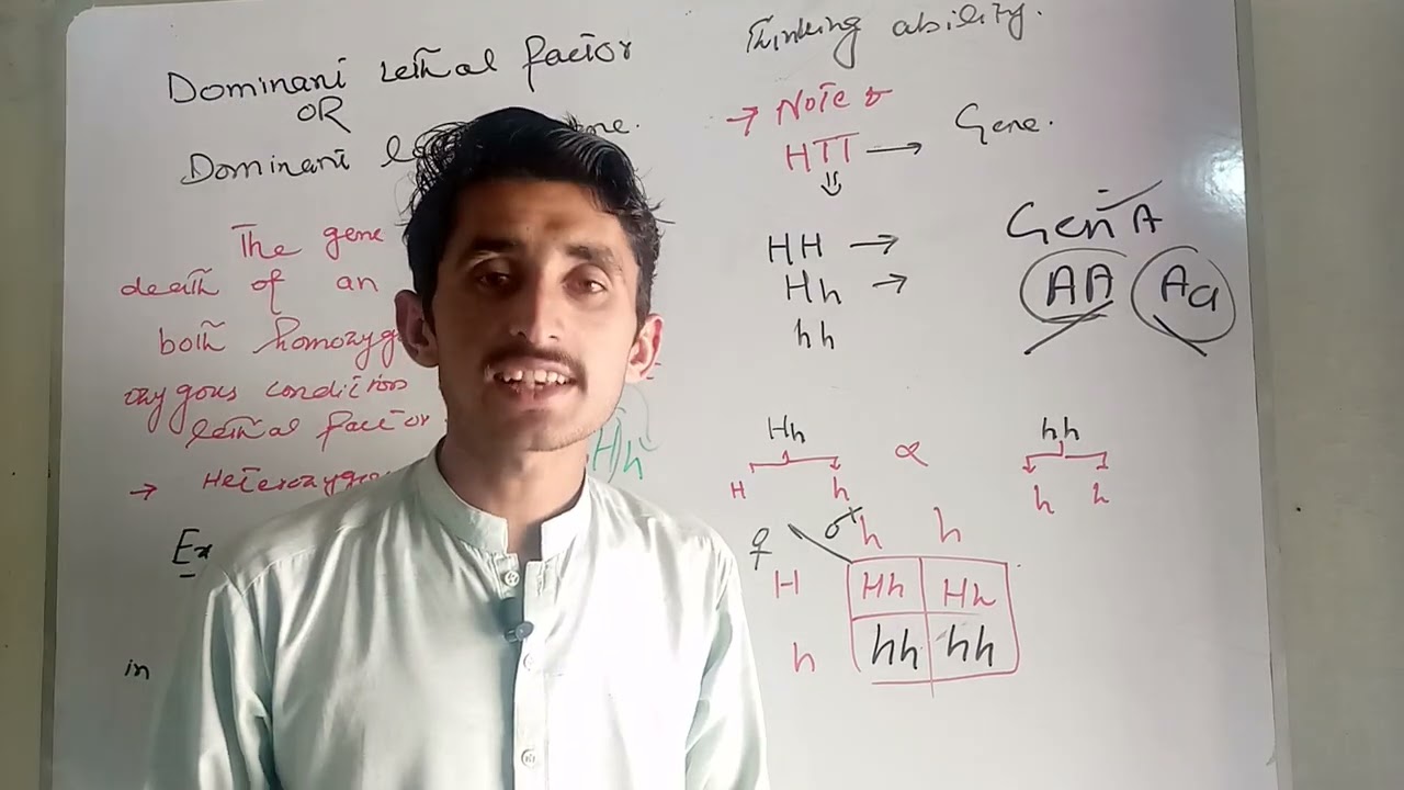 Dominant lethal gene|| Dominant lethal factor|| Lethal factor part 2