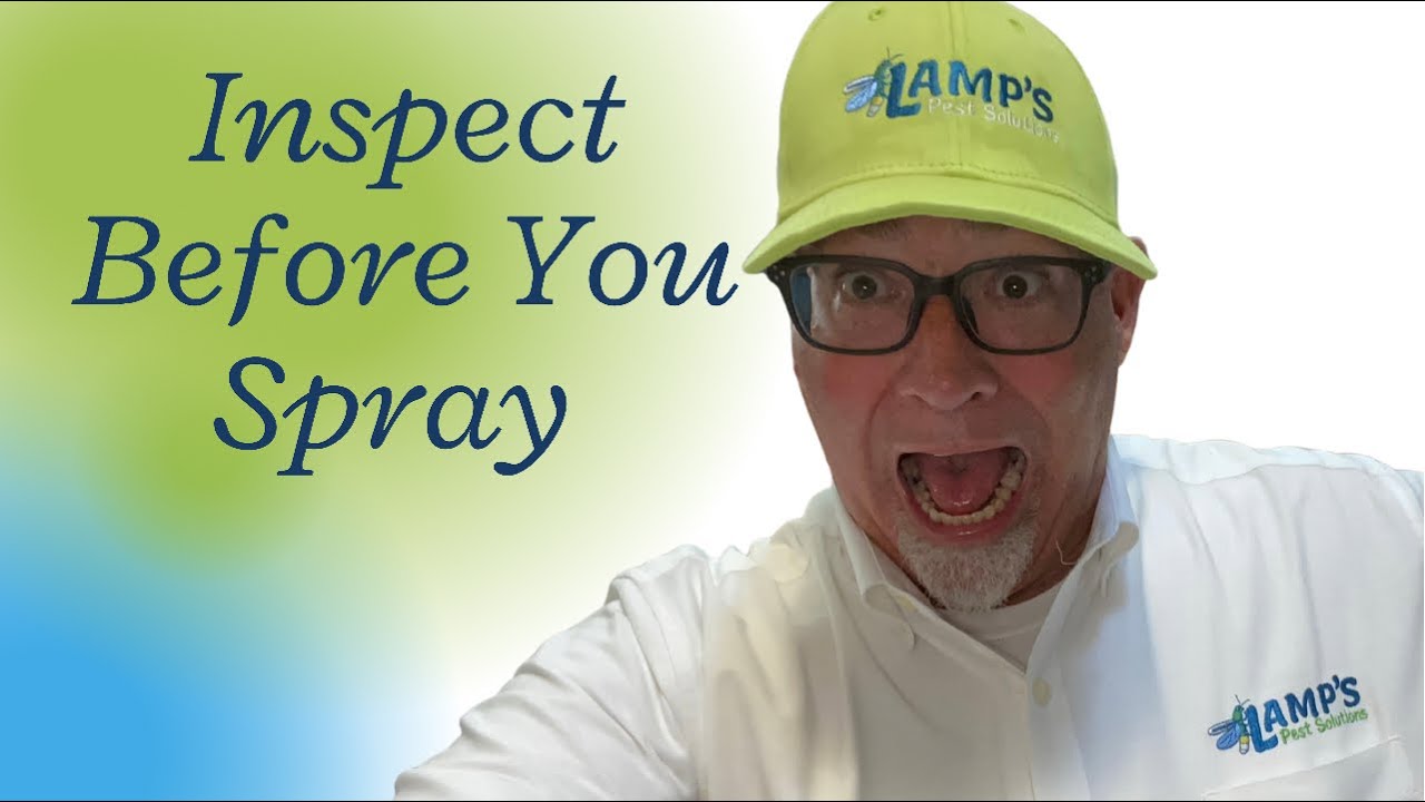 Pest Control Lexington SC / Cockroach Inspection / Pest Control Near Me