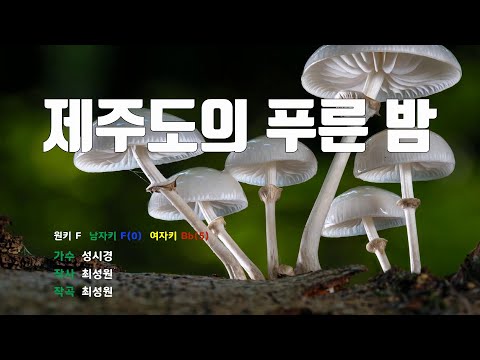 [은성 반주기] 제주도의푸른밤 - 성시경