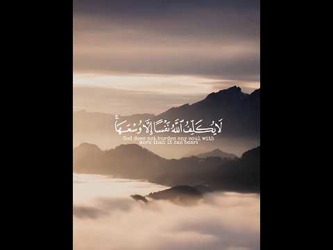God Does Not Burden A Soul Beyond Its Capacity Reader Abdul Aziz Suhaim Shorts