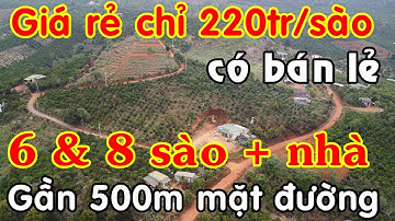 Bán 2 lô đất vườn 6 và 8 sào có sẵn nhà & cây trái, mặt đường siêu dài, view đẹp giá rẻ tại Lâm Đồng