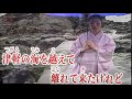 冬の日本海(田川寿美)Cover