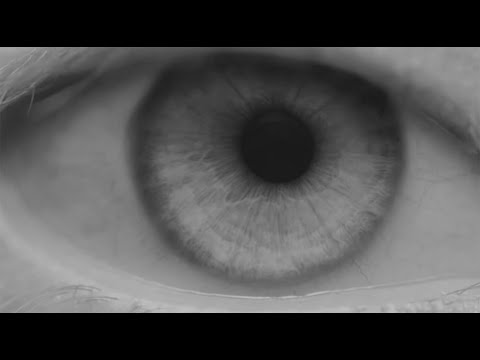 BACKWHEN ESCPE FIREWALK VISUALIZER