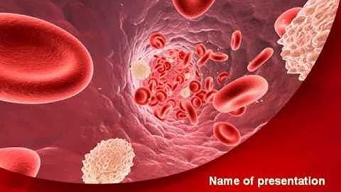 Circulatory PowerPoint Template by PoweredTemplate.com