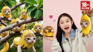 "Banana cats" grow on trees! Soft & sweet. Why fight with Blade-Shield Dogs?