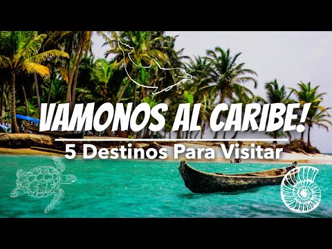 Video: Marzo en el Caribe: Clima y guía de eventos