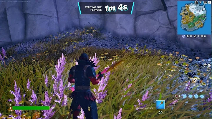 I won a fortnite game first time
