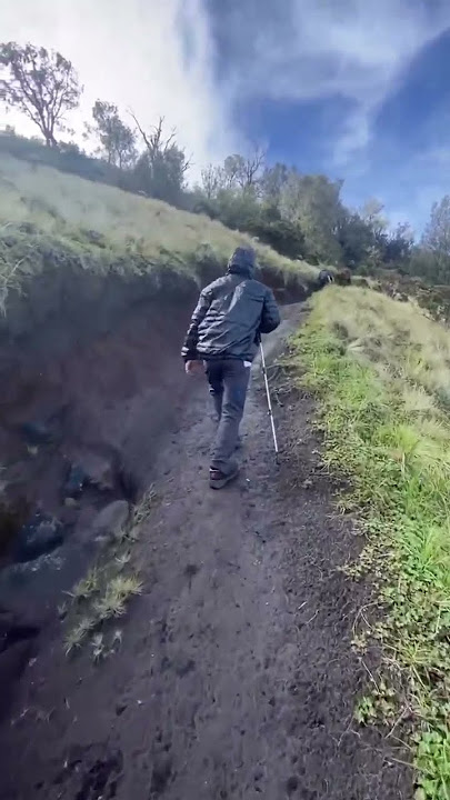 Menuju puncak gunung arjuno melalui alas lali jiwo #shorts #gunung #mojokerto