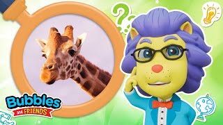 let s learn giraffes 5 fun giraffe facts kids bubbles friends