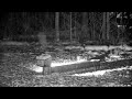 REPLAY - Fernwood Hills | PTZ Cam - 2026-01-28 PM